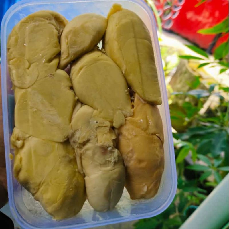 

Durian Kupas Large Medan Sibolga Tigalingga Padang