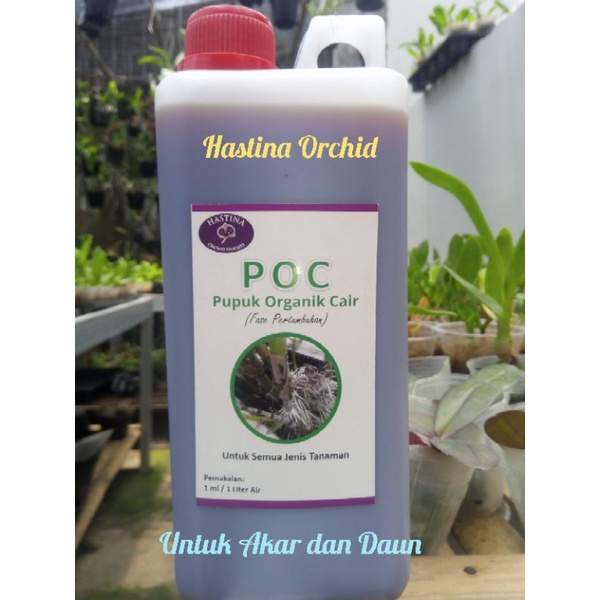 Pupuk Organik Cair (POC)