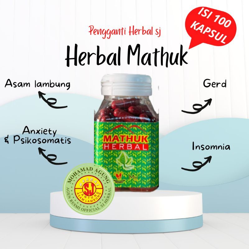 HERBAL SJ SYARAF/ECER 10 PCS/PIL SYARAF