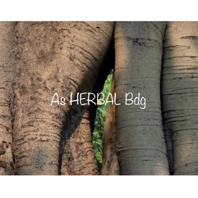 

Kulit pohon beringin 500 gram segar-az