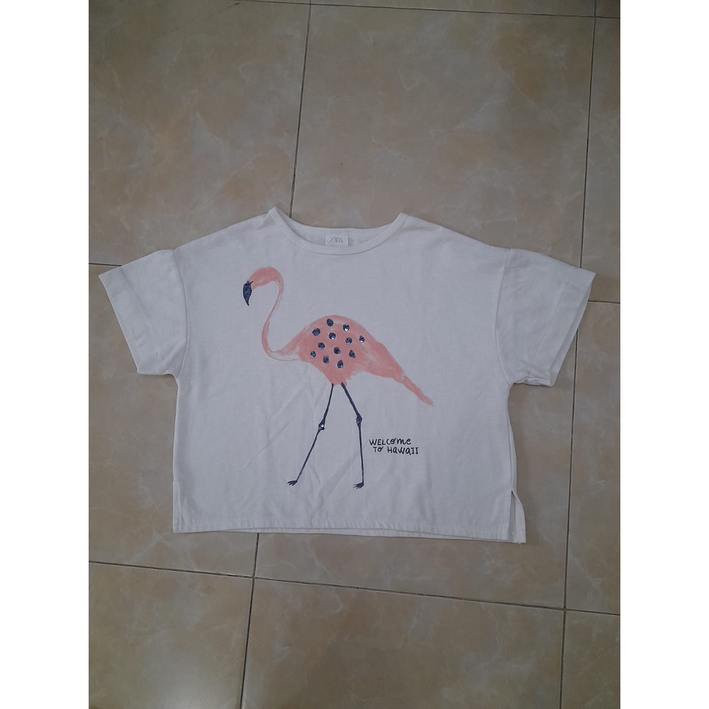 Sale Baju Kaos Atasan Crop Top Zara