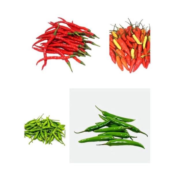 

Cabai Rawit Merah/Cabai Merah Keriting/Cabai Rawit Hijau / Cabai Hijau Besar