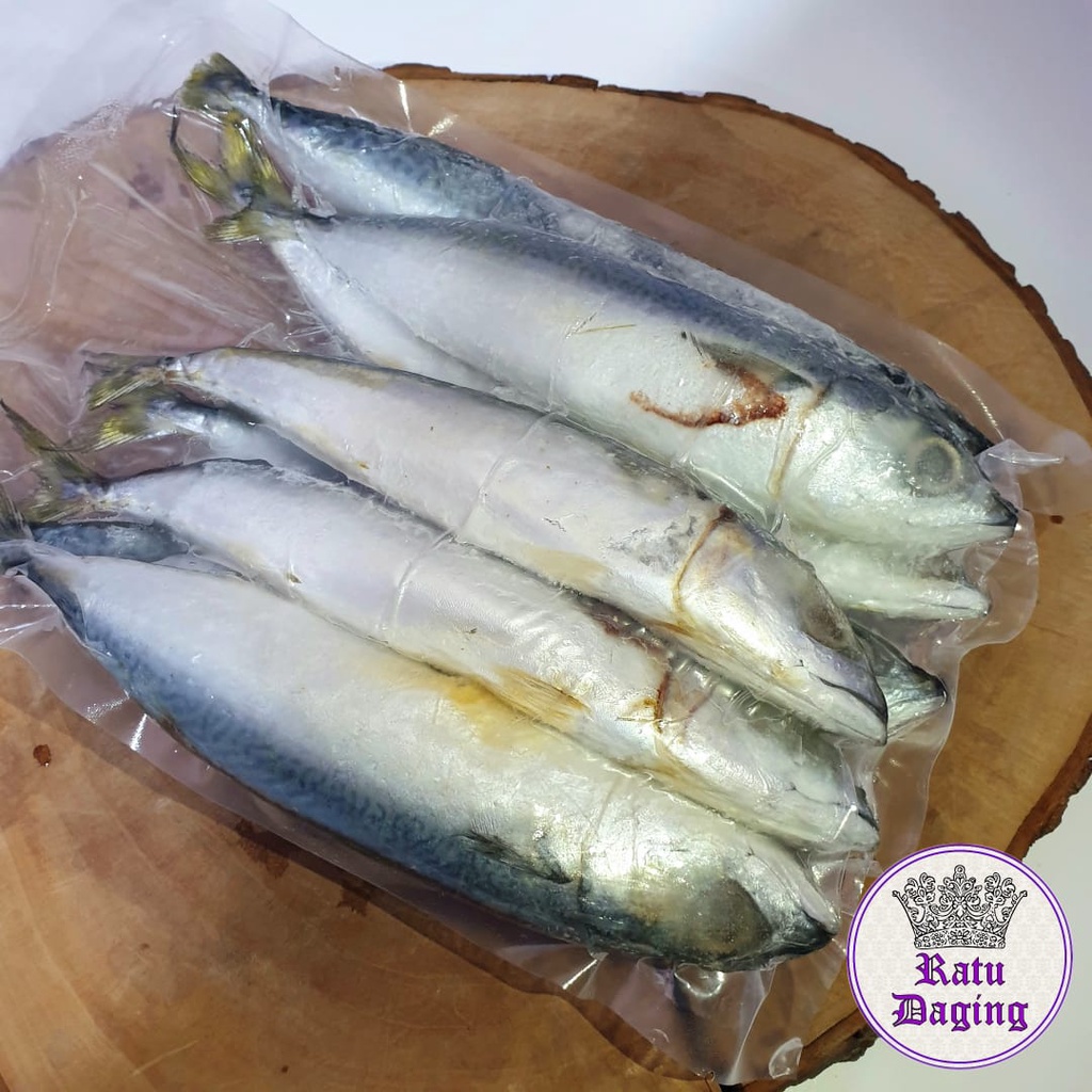 

Ikan Salem Segar 500gr