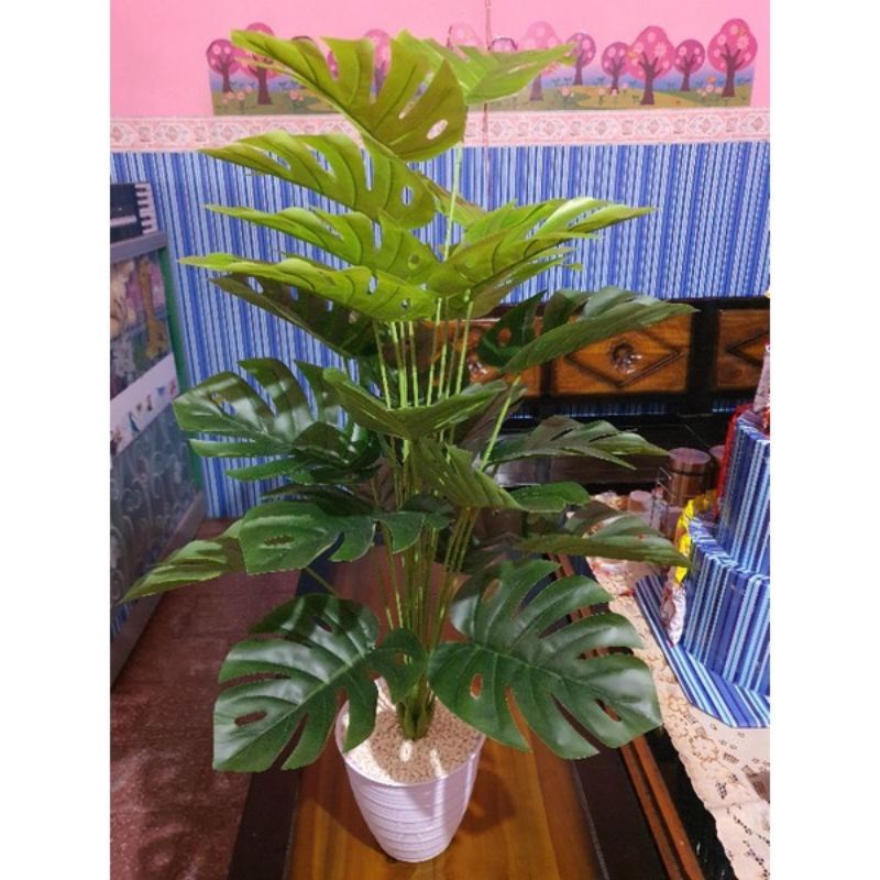 Pohon Pisang Tinggi 1 meter x24 Daun ( TANPA POT )