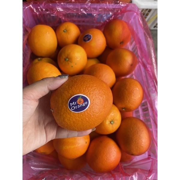JERUK/ SUNKIST MADU mr OREN