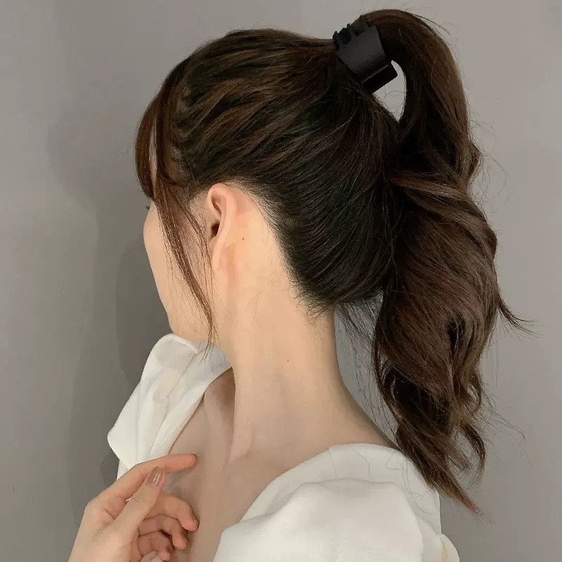 Korea Klip Rambut Kecil Perempuan Piring Rambut Ponytail Tinggi Tetap Hair Clip