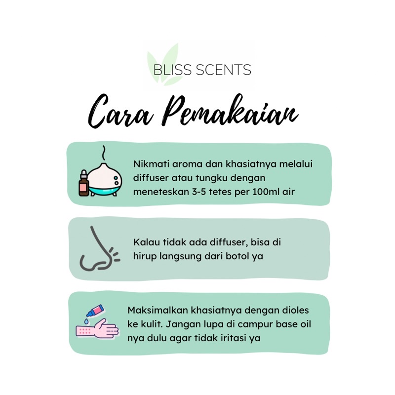 BLISS SCENTS Eucalyptus Radiata Essential Oil Aromatherapy 100% Murni Therapeutic Grade Aromaterapi