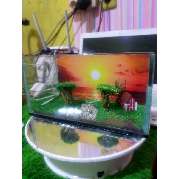 akuarium UNIK ikan cupang