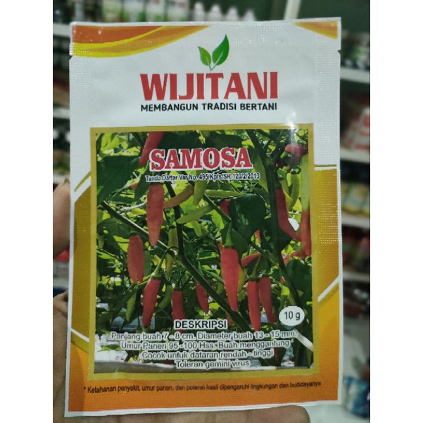 Cabe Samosa 10gr Original Pabrik Wijitani