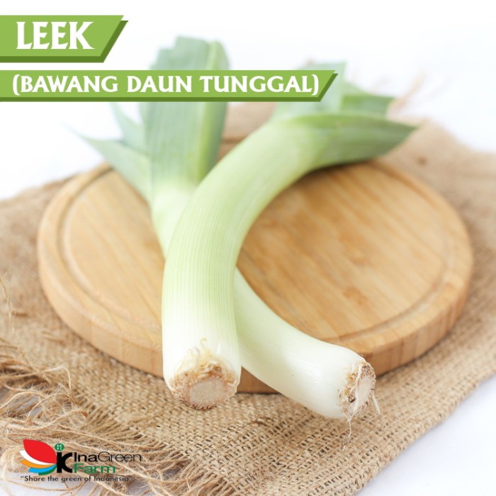 

Inagreen Farm Bandung Leek / Bawang Daun Prei / Bawang Daun Tunggal