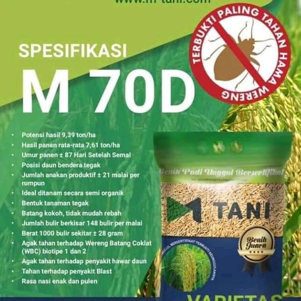 [KODE HKLRU] Bibit padi m70d m70 asli m tani