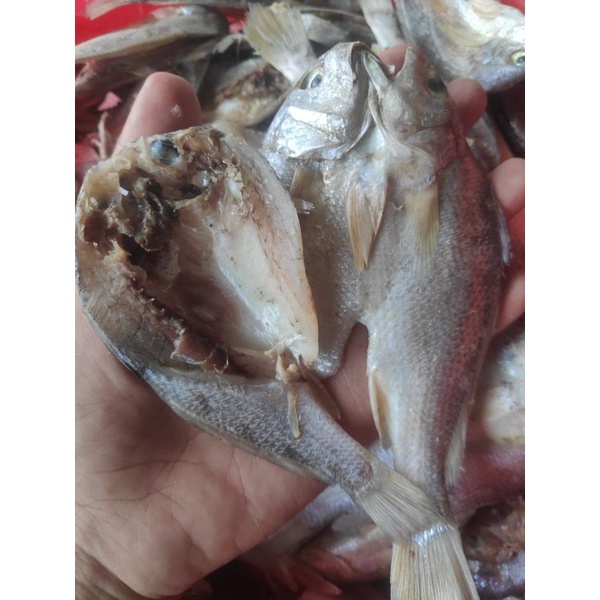 

ikan asin kepala batu dan ikan asin drodok