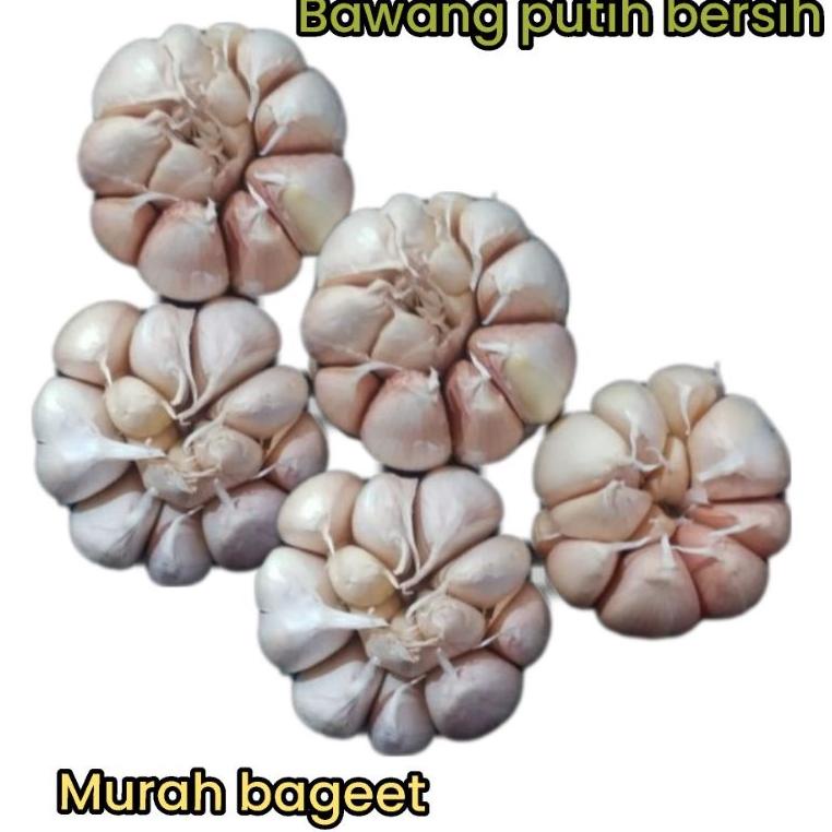 

BELANJA MURMER C927 bawang putih1kg super besar premium best seller ヤ