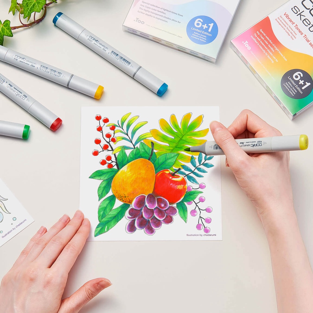 Copic Sketch Marker E (Earth) Series CSM/E - Satuan