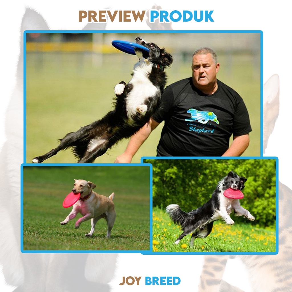 MAINAN ANJING MAINAN LEMPAR TANGKAP ANJING FRISBEE PLASTIK MURAH TOY FOR DOG | JOY BREED OFFICIAL