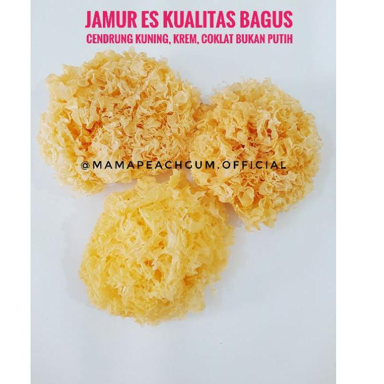

Terbaru 3.3 Jamur Es 15 gr Kualitas Bagus dan lembut / jamur salju / bai mu er / snow fungus