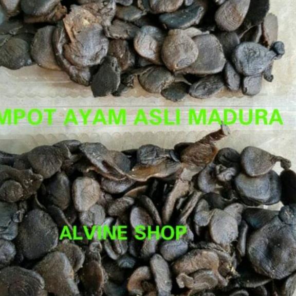 

Discount | FG2 | Mpot Ayam Alami Asli Tanpa Olahan/Empot Ayam Madura Asli Alami 50 GR