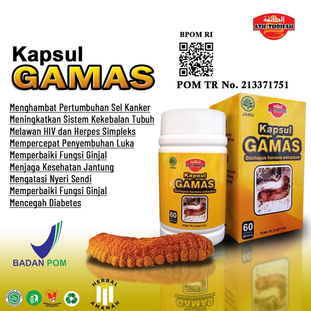 

GAMAS GAMAT EMAS KAPSUL IKAN TERIPANG Asli