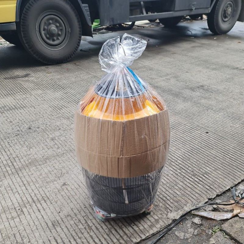 Perkutut Kerang Sangkar Perkutut Kandang Perkutut