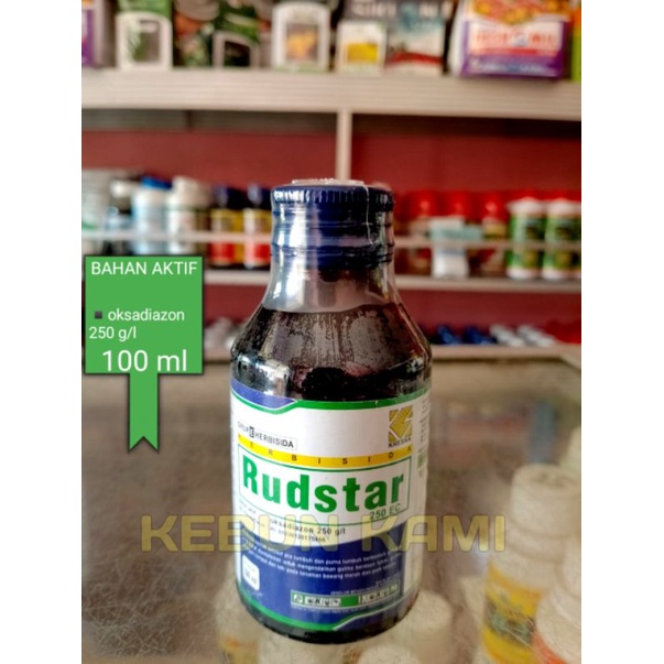 Rudstar pembeku biji 100 ml