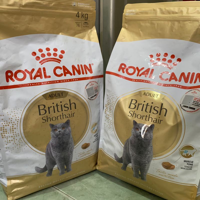 Royal Canin British Short hair Adult 4kg - Promo Price