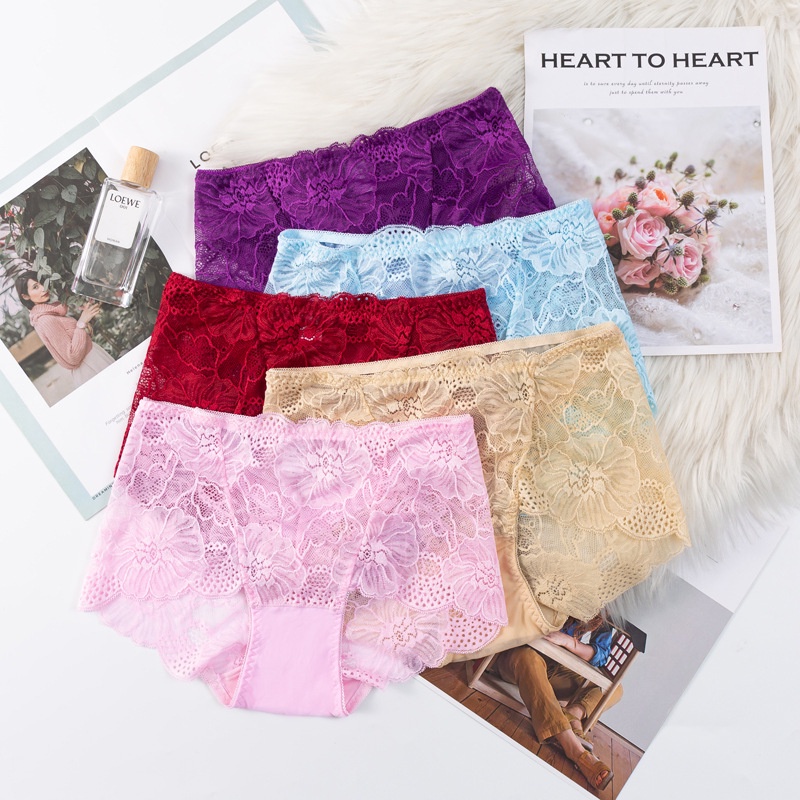 Celana Dalam Sexy CD Wanita Gemuk Mid-waist Briefs Sexy Mesh