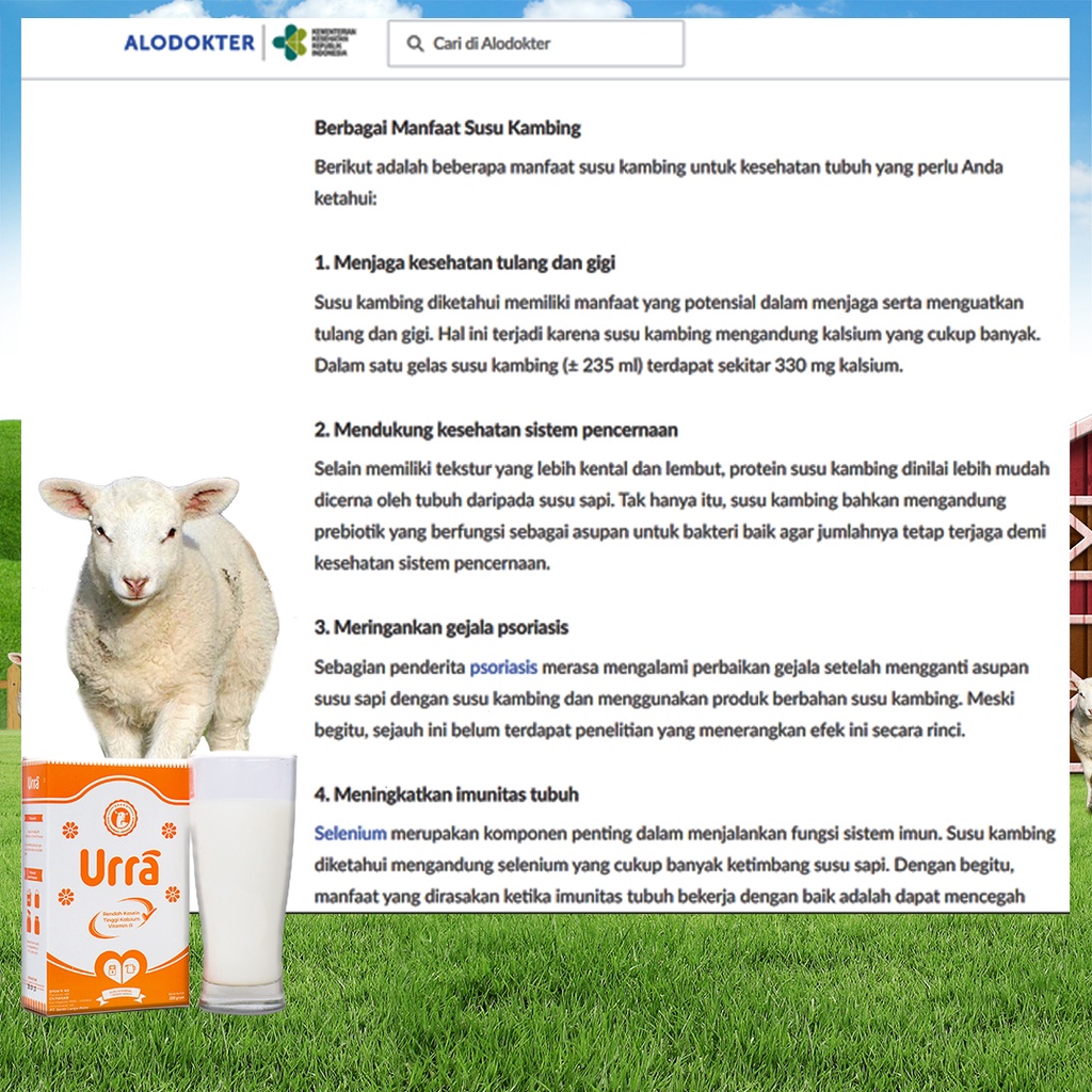 SUSU URRA ORIGINAL - Meningkatkan Berat Badan &amp; Tinggi Badan Anak | TInggi Kalsium, Vitamin A, Rendah Kasein | Atasi Masalah Pernafasan Dan Alergi Susu Sapi | Susu Kambing Asli | Susu Kambing Saanen Original | 100% Halal BPOM COD