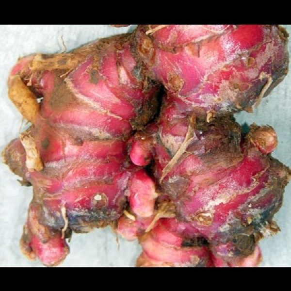 

Jahe Merah 1kg - 02
