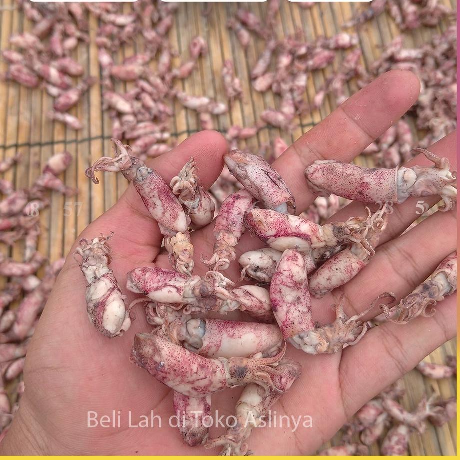 

Promo | HJ6 | Baby Cumi Rebus Asin - Ikan Asin 1Kg