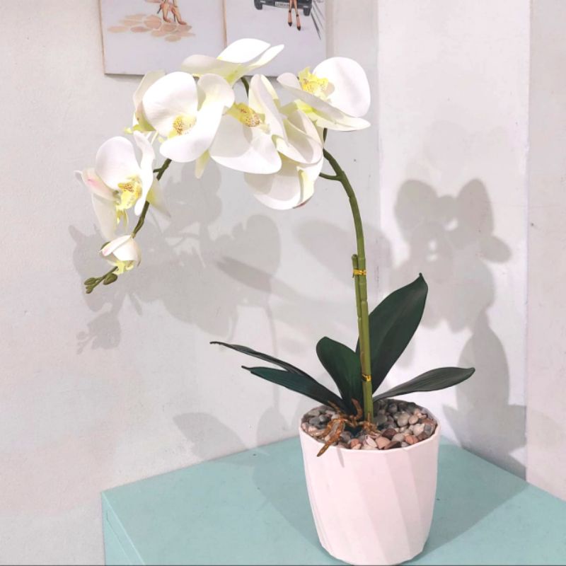 Bunga Anggrek Latex Jumbo / Bunga Artificial Latex / Pajangan Hiasan Gift Kado Hampers Bunga Import 