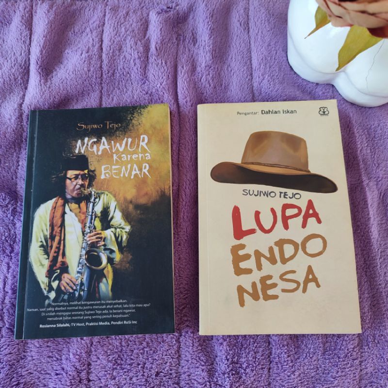 [preloved] buku bekas original sujiwo tejo esai ngawur karena benar lupa endonesa