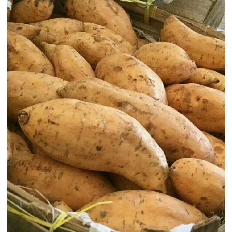 

promo ubi cilembu fresh 1.kg