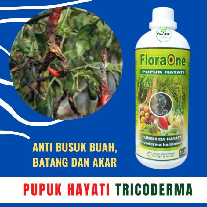 Jual Pupuk Fungisida Hayati Trichoderma Cair Pupuk Anti Moler Anti