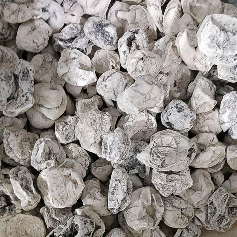 

Ready Kiamboy putih non biji 00Z