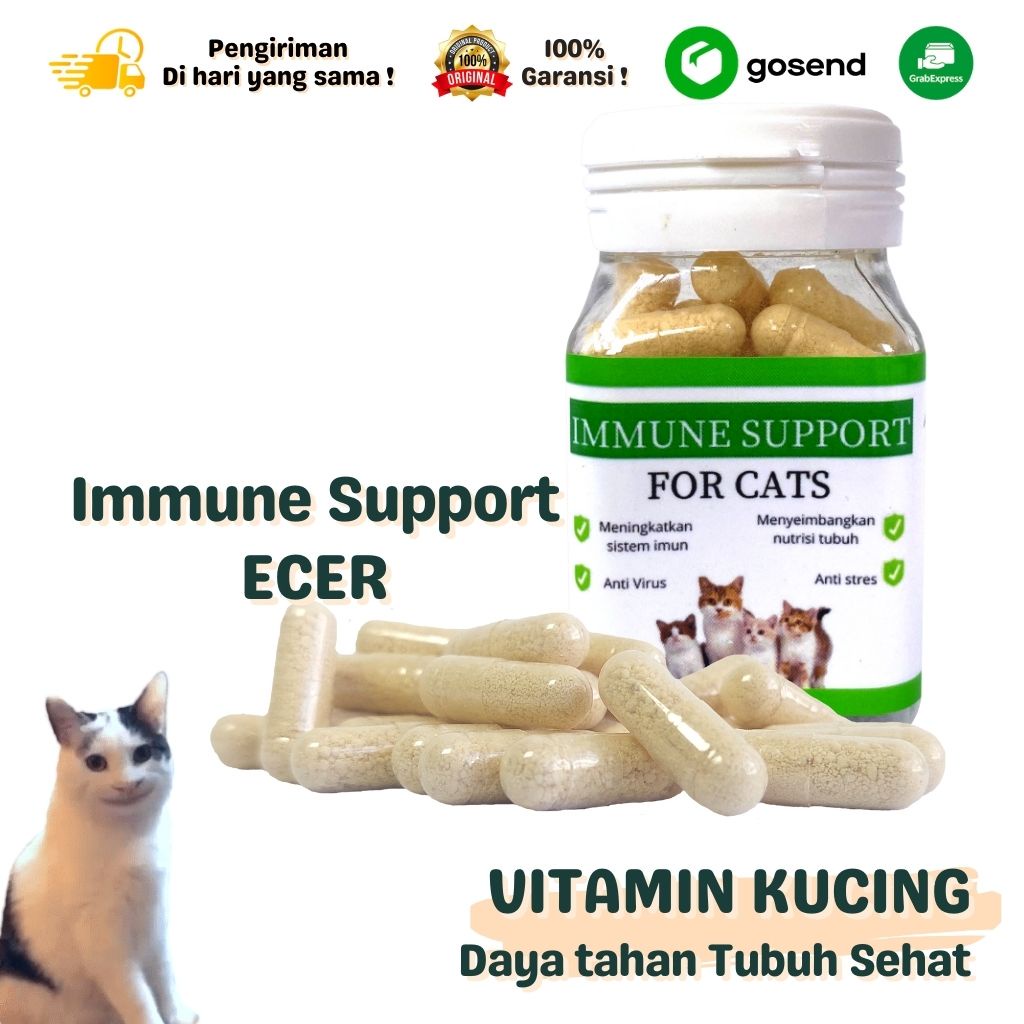 VITAMIN IMMUNE SUPPORT KUCING 1 KAPSUL