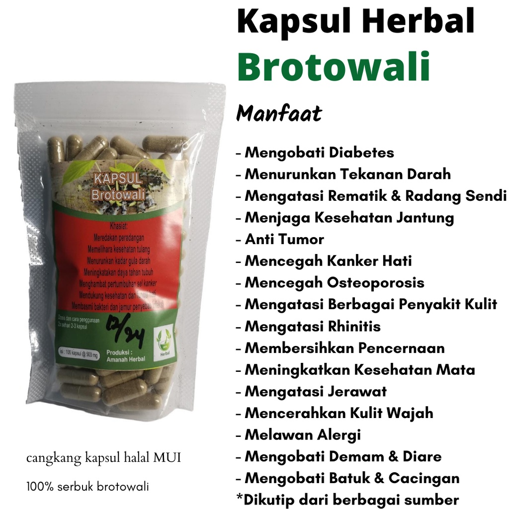 Kapsul brotowali isi 100 Original / brotowali kapsul / brotowali herbal