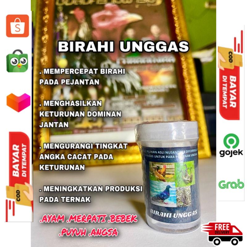Birahi Unggas Ayam Bebek Merpati Puyuh Angsa
