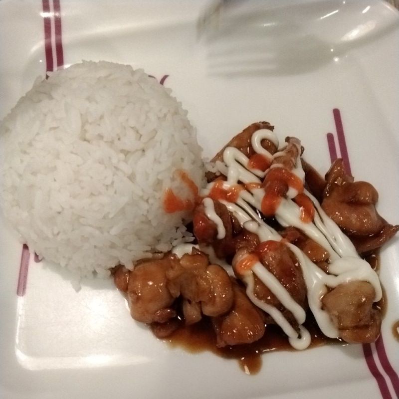 

nasi ayam