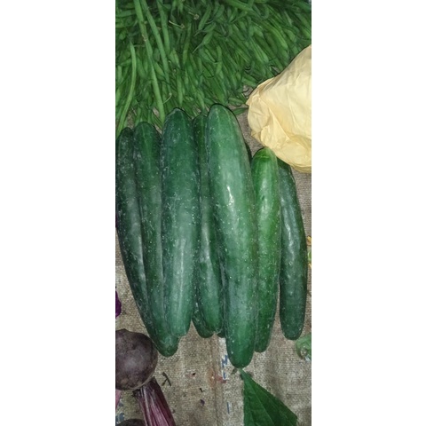 Timun kyuri/Timun Jepang 1kg
