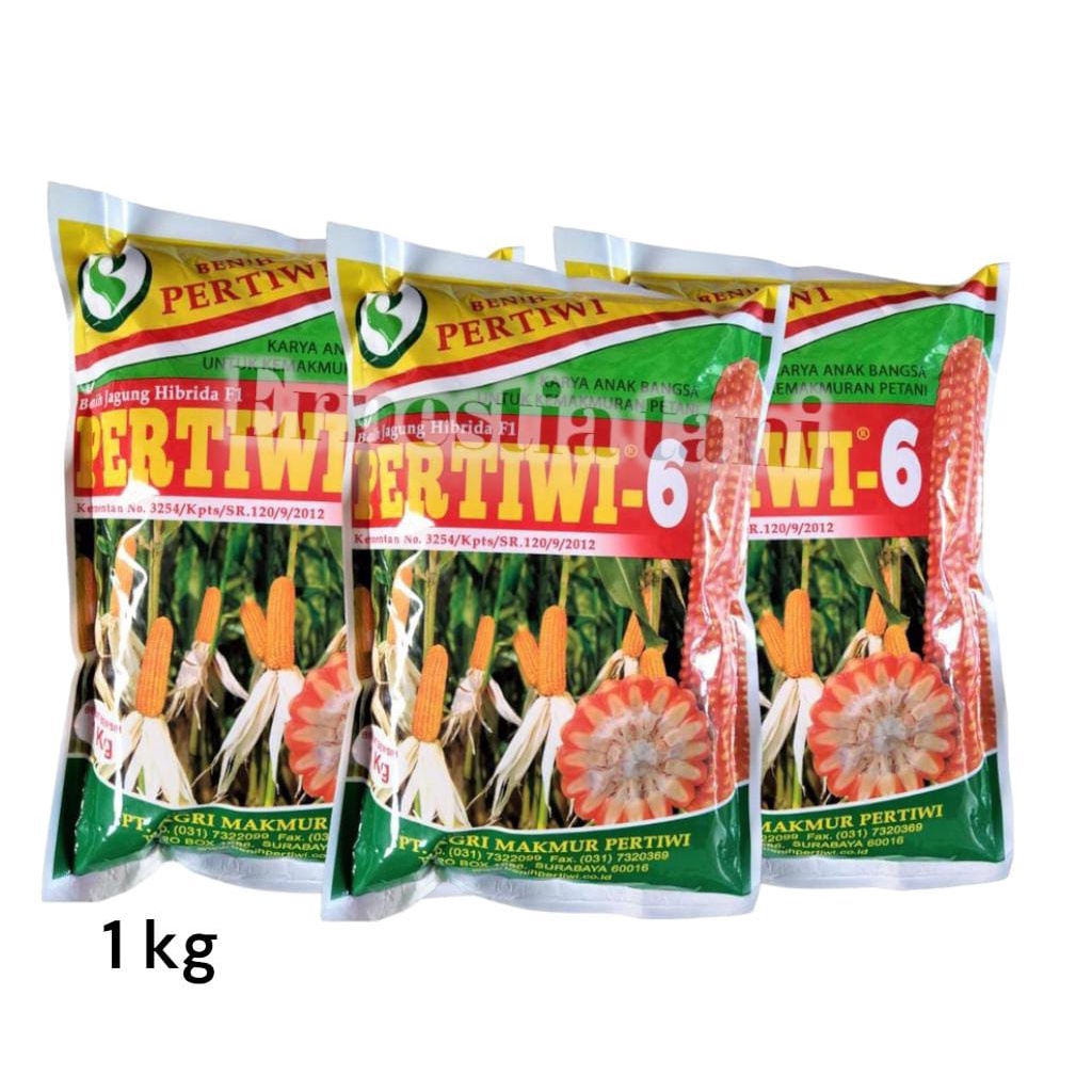 Benih Jagung Pertiwi 6 1 kg Cap Benih Pertiwi