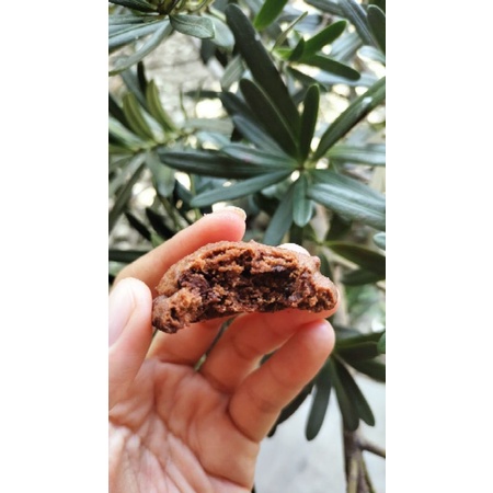 

chocolate chips cookies & classic cookies with chocochip