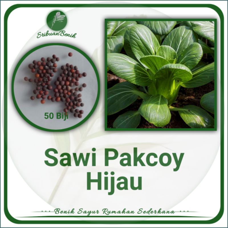 ± 50 Benih Sawi Pakcoy Hijau Sawi Sendok Benih Sayuran Hijau