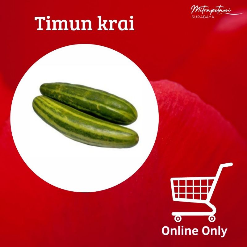 

Timun krai 500 gram, krai segar,timun krai