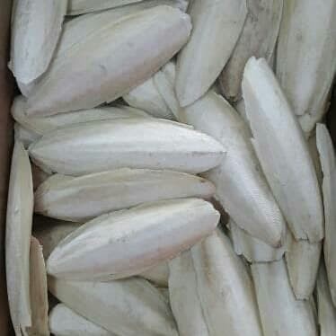 ~@~@~@~@] Snack Burung Lovebird Hamster Tulang Ikan Sotong Kalsium Murah