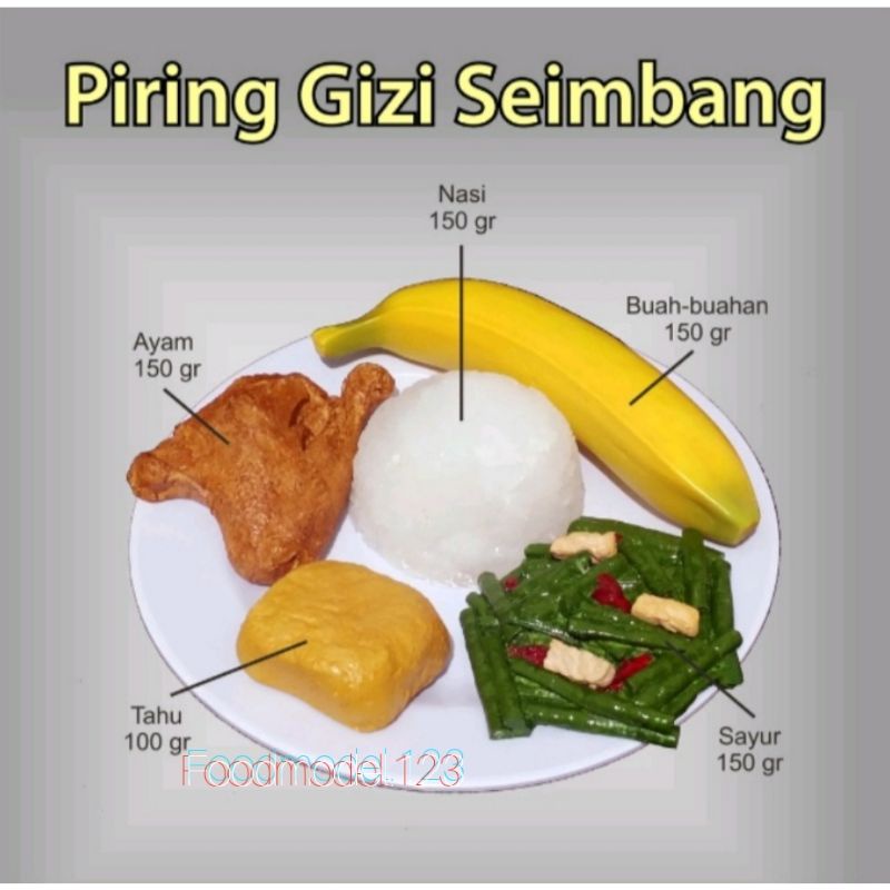 food model piring gizi seimbang