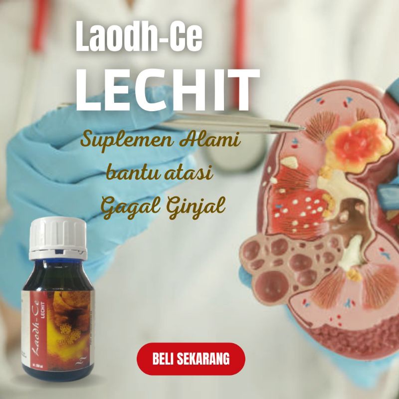 

LECITH, LECITIHIN, LECITIN, KACANG KEDELAI