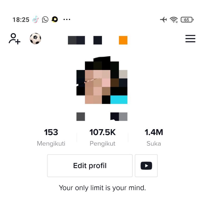 JUAL AKUN TIKTOK MURAH REAL FOLLOWERS AKTIF INDONESIA | BISA LIVE STREAMING