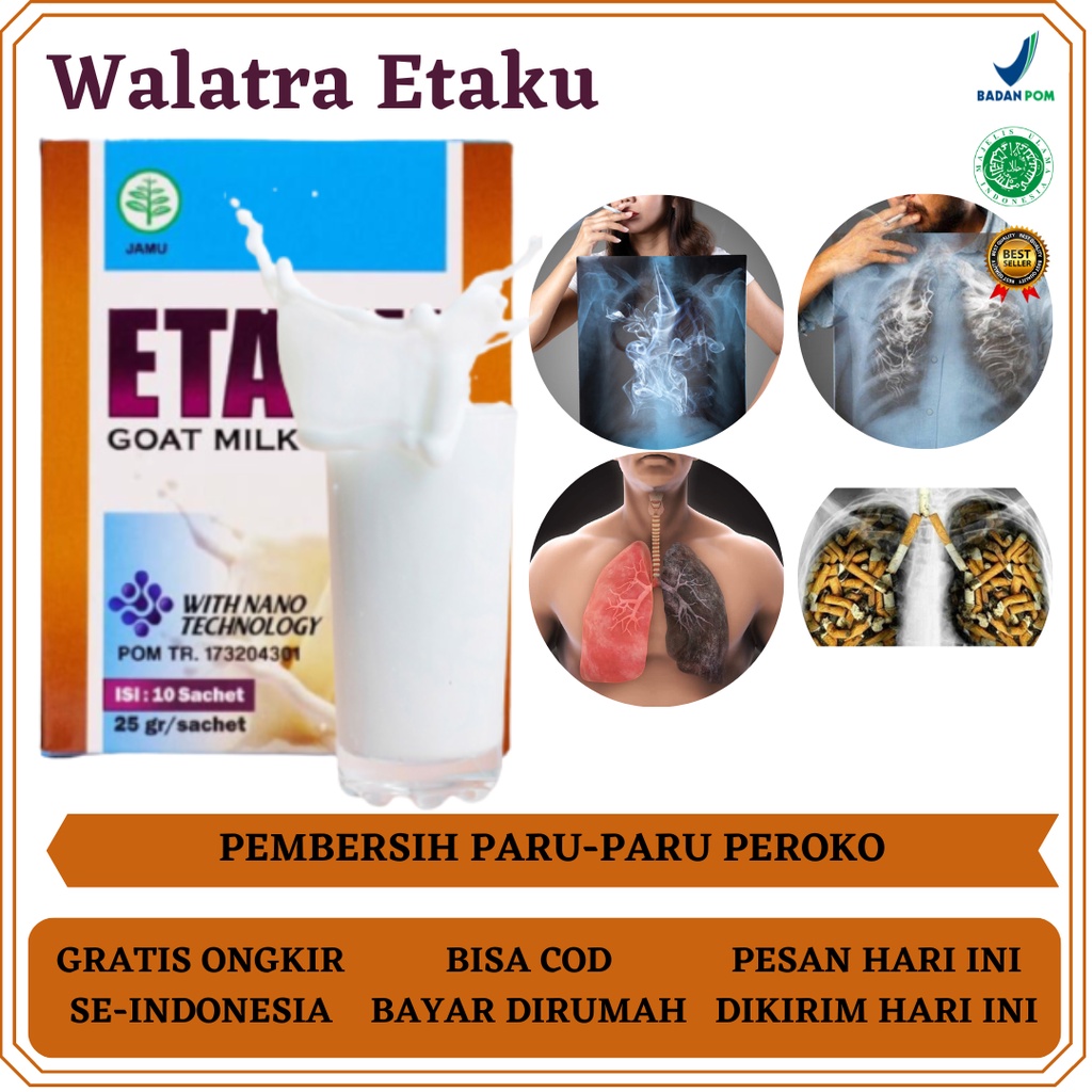 Walatra Etaku, Obat Pembersih Paru Paru, Obat Pembersih Paru Paru Perokok, Obat Paru Paru Basah, Oba