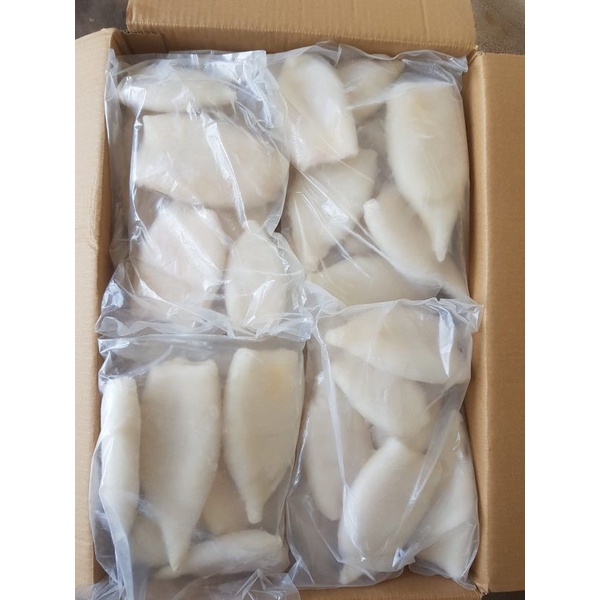 

Cumi tube/cumi kupas bersih 5 -7pcs/kg termurah