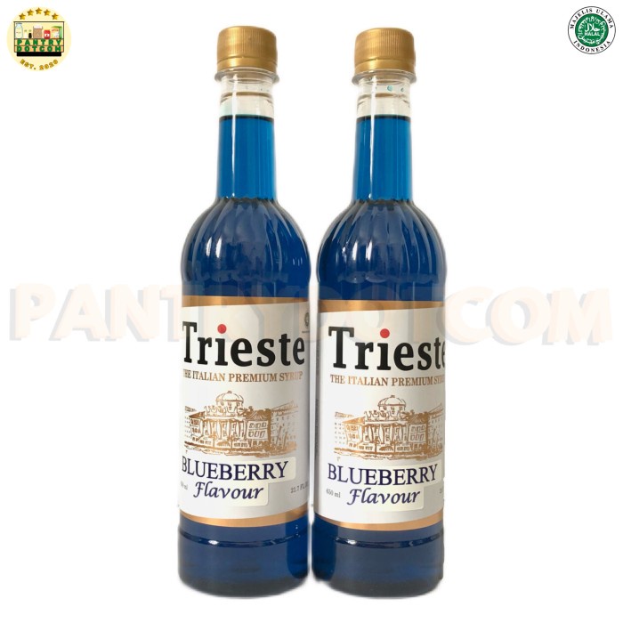 

TRIESTE SYRUP RASA BLUEBERRY - SIRUP PREMIUM 650ML